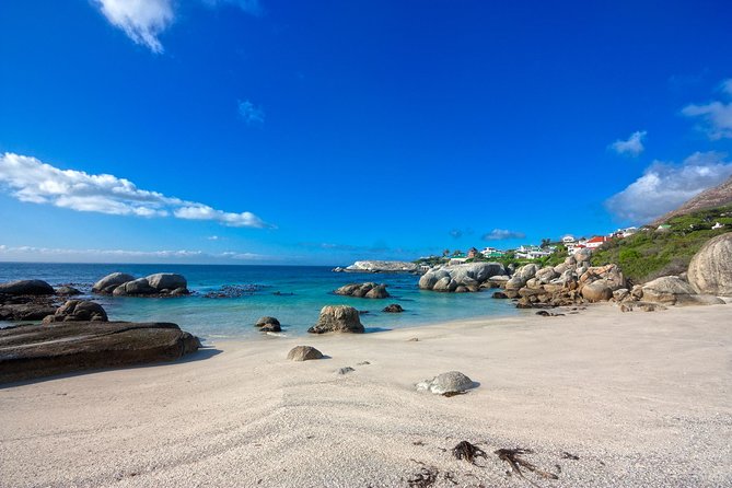 Private Cape Peninsula + Kirstenbosch Garden Full Day Guided Tour - Kommetjie Lighthouse