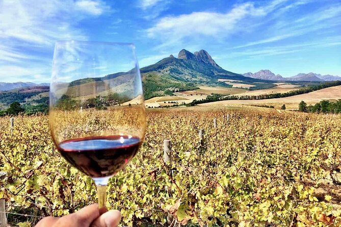 Private Cape Town City Tour Table Mountain With Wine Tasting - Pickup and Scheduling