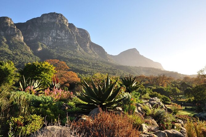 Private Cape Town City Tour Table Mountain With Wine Tasting - Tour Highlights