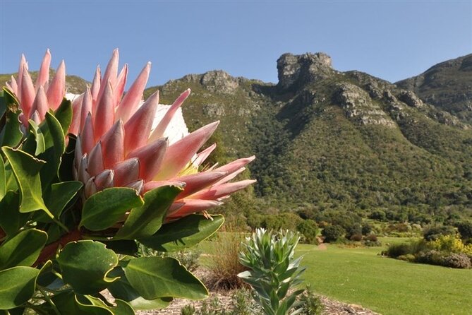 Private Cape Town City Tour Table Mountain With Wine Tasting - Private Tour Experience