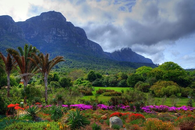 Private Cape Town City Tour Table Mountain With Wine Tasting - Additional Information