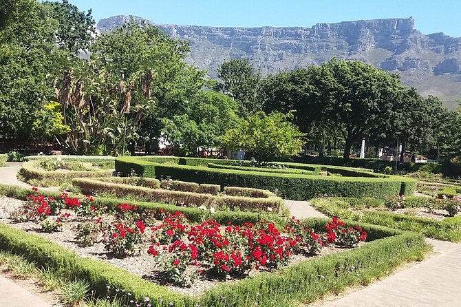 Private Cape Town Table Mountain Bo-Kaap + Cable Car Tickets H/D - Customer Reviews and Feedback