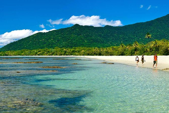 Private Cape Tribulation & Mossman Gorge Day Tour - Tour Inclusions