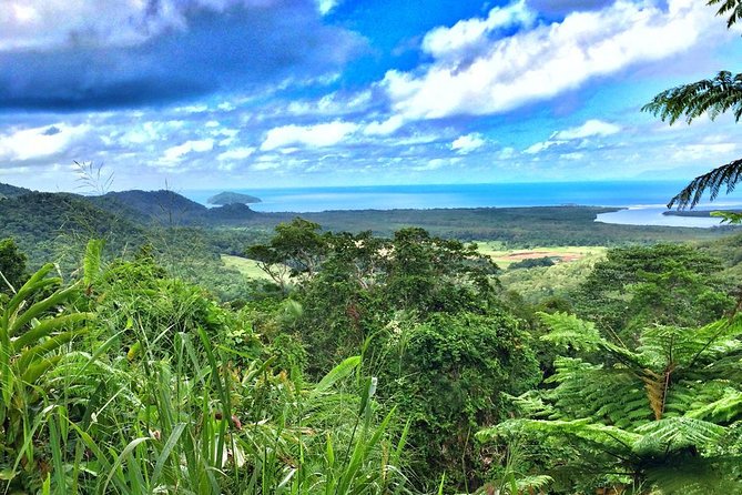 Private Cape Tribulation & Mossman Gorge Day Tour - Pickup Information