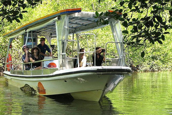 Private Cape Tribulation & Mossman Gorge Day Tour - Additional Information