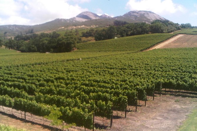 Private Cape Winelands From Stellenbosch or Franschhoek or Paarl - Tour Details