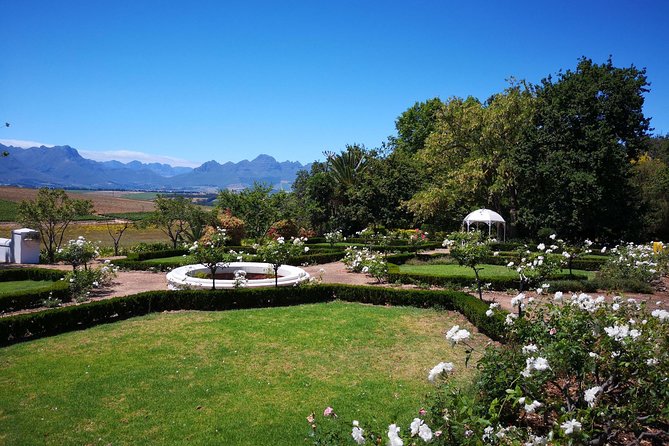 Private Cape Winelands From Stellenbosch or Franschhoek or Paarl - Wheelchair Accessibility