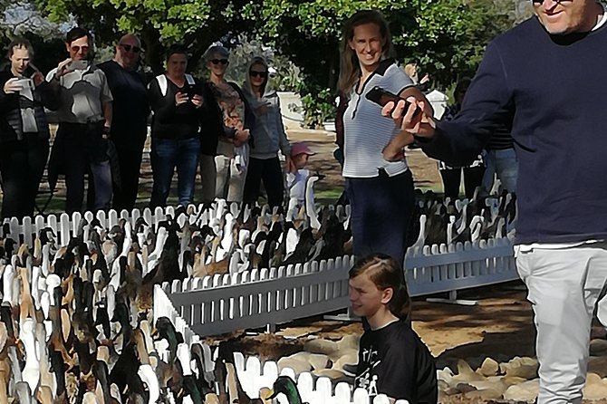 Private Cape Winelands Guided Full Day Tour From Cape Town - Reviews