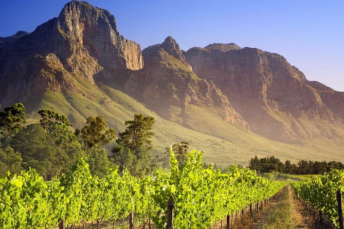 Private Cape Winelands Guided Full Day Tour From Cape Town - Dining Options