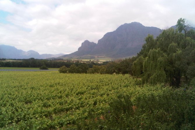 Private Cape Winelands Tour From Cape Town - Key Points