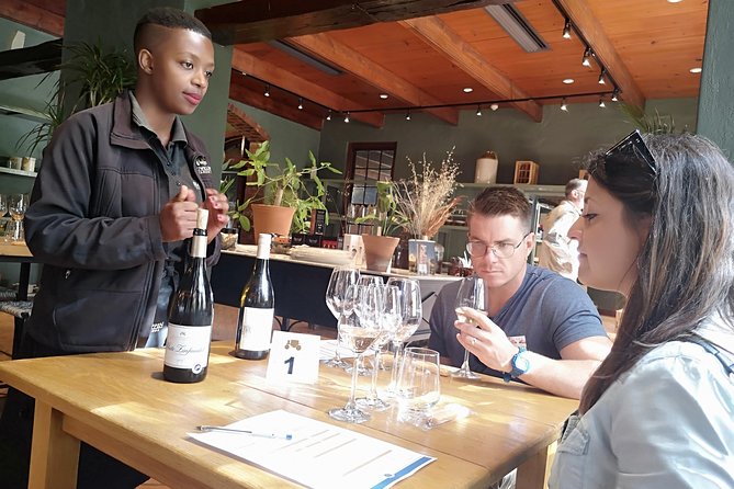 Private Cape Winelands Tour From Cape Town - Traveler Information