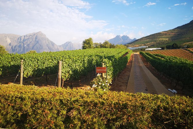 Private Cape Winelands Tour From Cape Town - Tour Rating