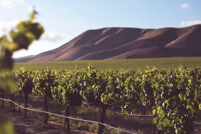 Private Cape Winelands Wine Tasting Tour - Winelands Exploration