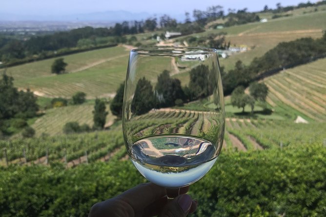 Private Cape Winelands Wine Tasting Tour - Booking Information