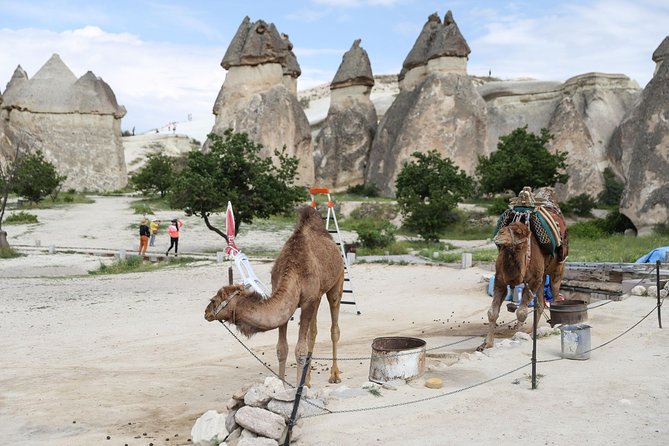 Private Cappadocia Tour W/Chimneys and Goreme Open Air Museum - Comfortable Travel Experience