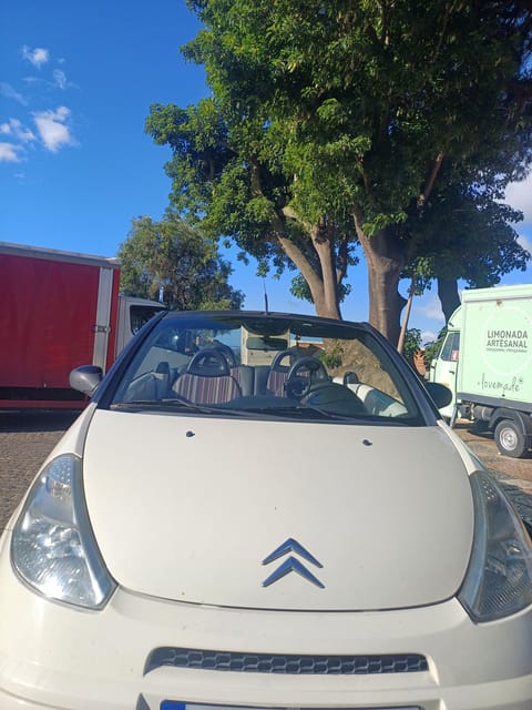 Private Capriolet City Tour Through Lisbon for 4 Hours - Cultural Experiences