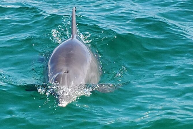 Private Captained Pontoon to Crab Island in Destin 3-6 Hrs. - Customer Reviews and Experiences