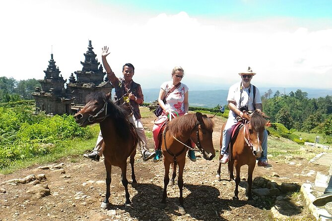 Private Car and Driver in Yogyakarta - Experience Details