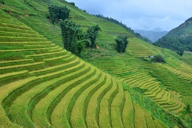 Private Car and Tour Guide Exploring Northern Vietnam - Tour Experience and Expectations