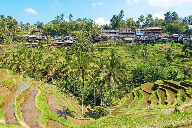 Private Car Charter - Explore Best of Bali - Pickup and Drop-off