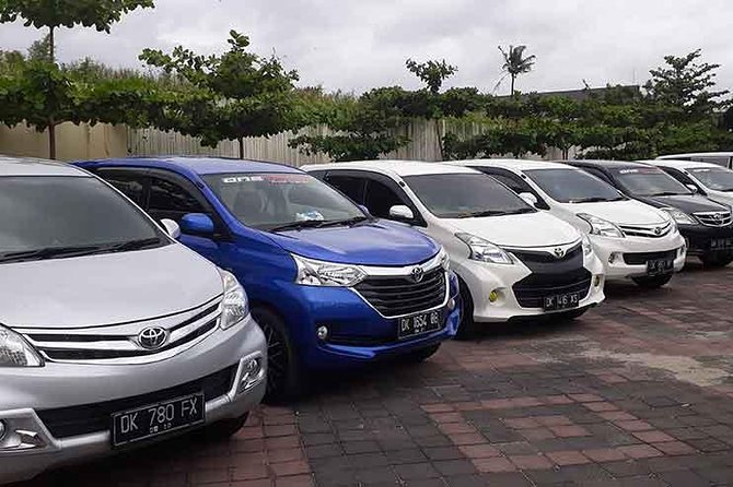 Private Car Charter in Bali With Baby Seat - Booking Information