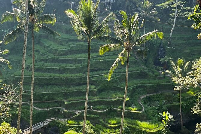 Private Car Charter Tour With Driver in Bali - Explore Balis Diverse Regions