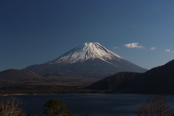 Private Car, Customizable Tour of Mt. Fuji With Cameraman - Meeting and Pickup