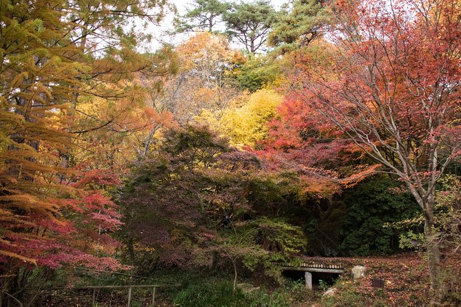 Private Car Day Trip to the Kobe Mountains, Gardens and Hot Springs From Osaka - Visit to Kobe Municipal Arboretum