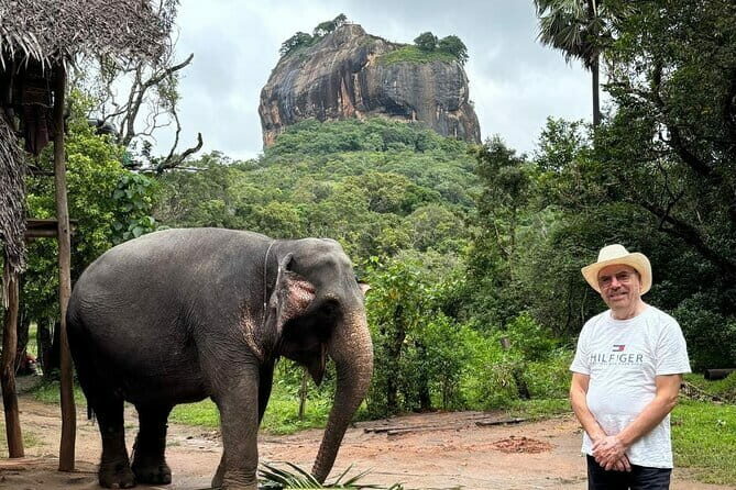 Private Car & English-Speaking Driver  Sri Lanka Island wide - Who Is This Tour Best For?