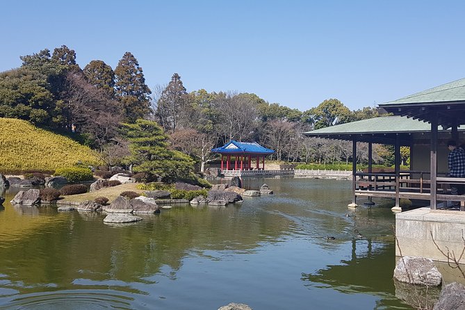 Private Car Full Day Tour of Osaka Temples, Gardens and Kofun Tombs - Sakai City Hall Observatory