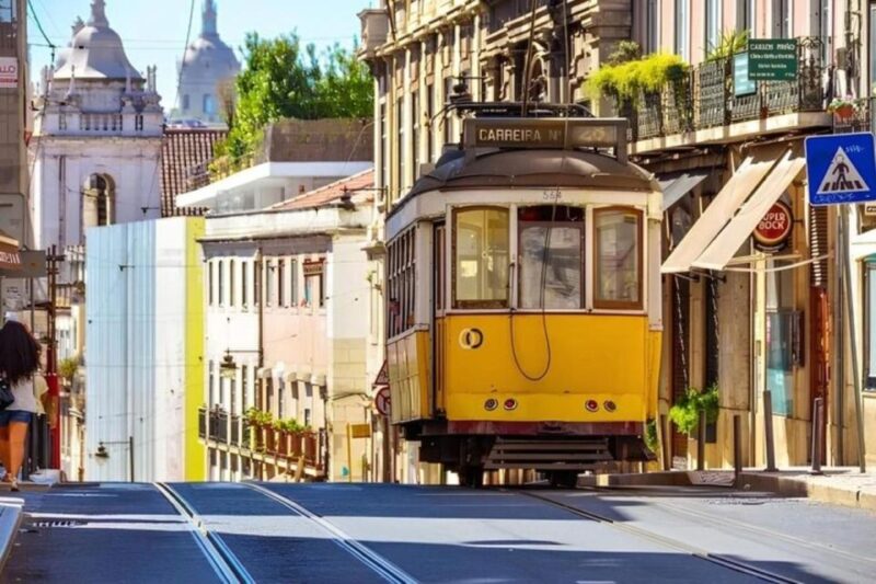 Private Car Half Day Tour - All Highlights - Pricing and Availability