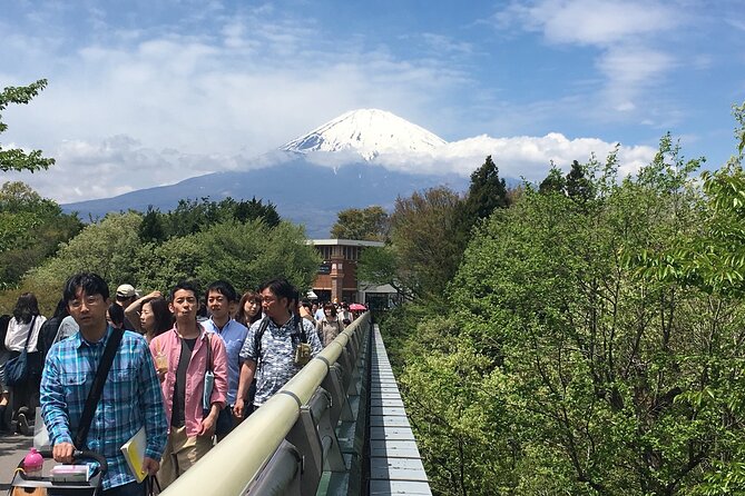 Private Car Mt Fuji and Gotemba Outlet in One Day From Tokyo - Exclusions