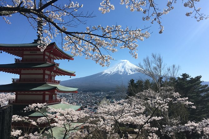 Private Car Mt Fuji and Gotemba Outlet in One Day From Tokyo - Tour Experience