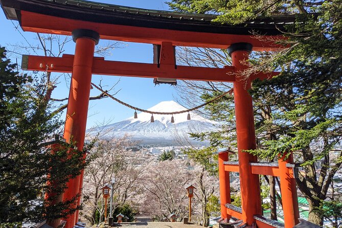 Private Car Mt Fuji and Gotemba Outlet in One Day From Tokyo - Flexibility and Accessibility