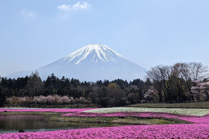 Private Car Mt Fuji and Gotemba Outlet in One Day From Tokyo - Activity Schedule