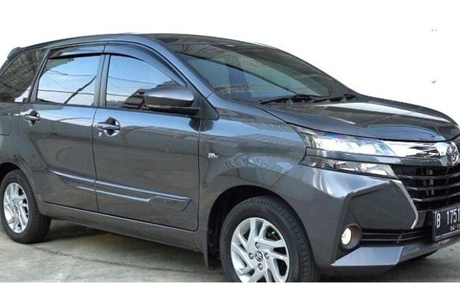 Private Car One Way Service - Accessibility and Participation