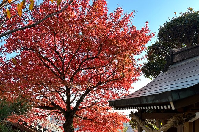 Private Car Tour From Kyoto to Osaka by Japanese Guide - Key Points