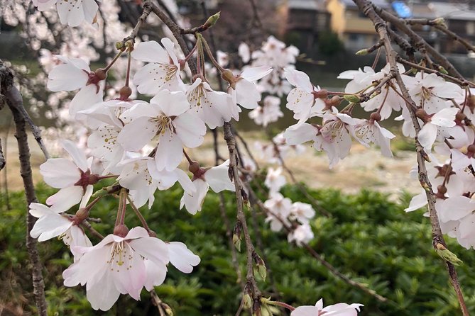 Private Car Tour in Kyoto (Up to 4) - Highlights and Inclusions