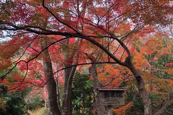 Private Car Tour in Kyoto (Up to 4) - Transportation and Efficiency