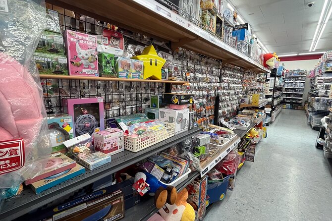 Private Car Tour Japanese History Visit, Buy Lots of Anime Goods - Inclusions