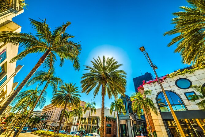 Private Car Tour LA Hollywood Beverly Hills Venice Santa Monica - Accessibility Features