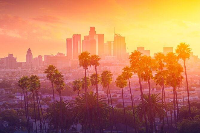 Private Car Tour LA Hollywood Beverly Hills Venice Santa Monica - Customer Reviews and Experiences