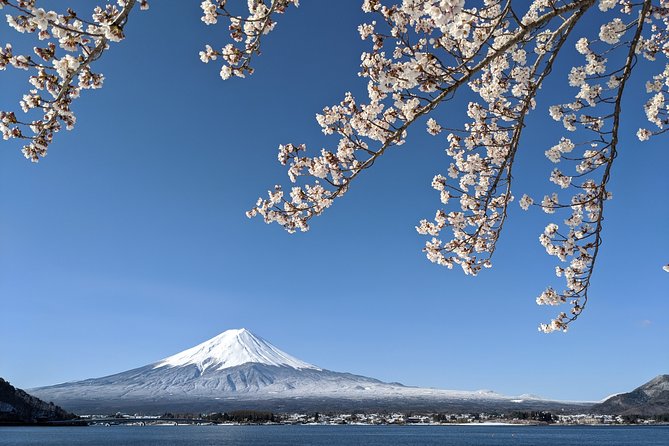 Private Car Tour to Mt. Fuji Lake Kawaguchiko or Hakone Lake Ashi - Exclusions