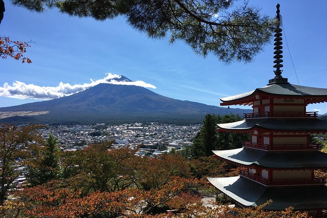 Private Car Tour to Mt. Fuji Lake Kawaguchiko or Hakone Lake Ashi - Additional Information
