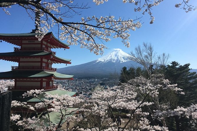 Private Car Tour to Mt. Fuji Lake Kawaguchiko or Hakone Lake Ashi - Accessibility