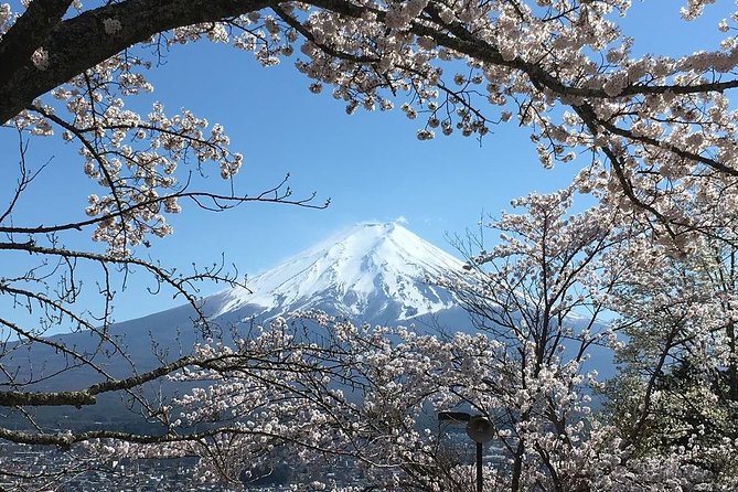 Private Car Tour to Mt. Fuji Lake Kawaguchiko or Hakone Lake Ashi - Policies and Restrictions