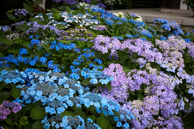 Private Car Tour to See Highlights of Kamakura, Enoshima, Yokohama From Tokyo - Discovering Yokohama