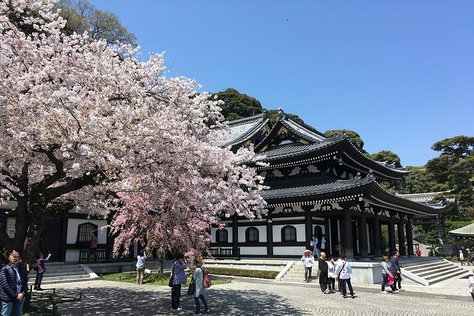 Private Car Tour to See Highlights of Kamakura, Enoshima, Yokohama From Tokyo - Discovering Yokohamas Attractions