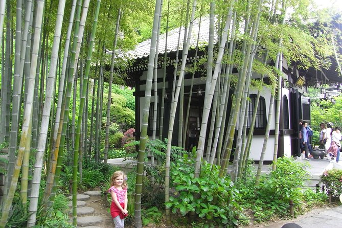Private Car Tour to See Highlights of Kamakura, Enoshima, Yokohama From Tokyo - Dietary Accommodations