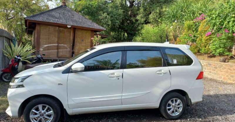Private Car Tour With Guide - Key Points
